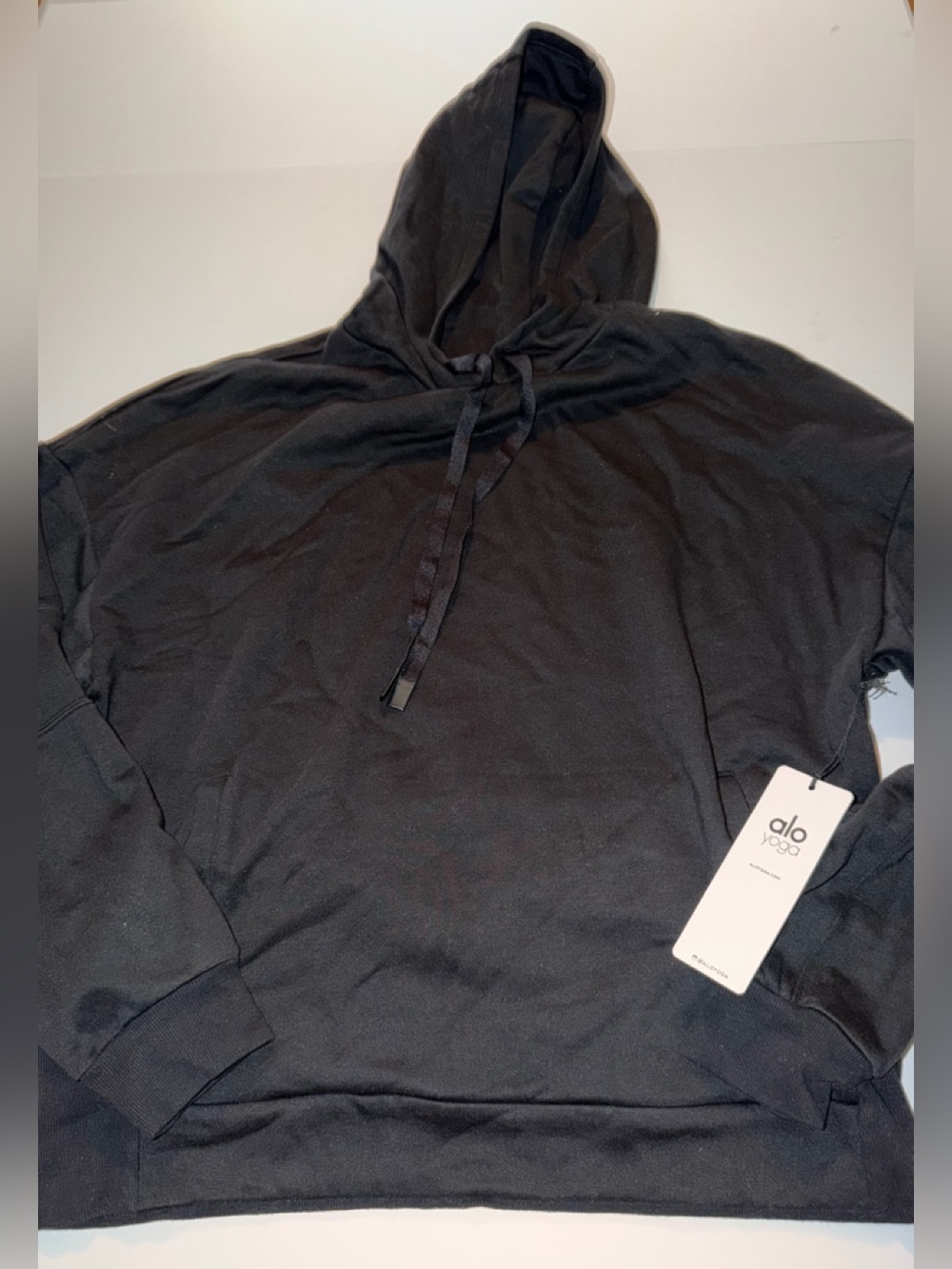 Alo yoga interval hoodie
